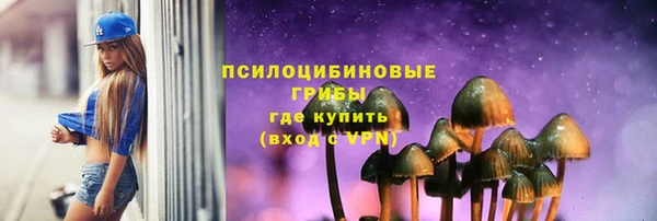mdpv Няндома