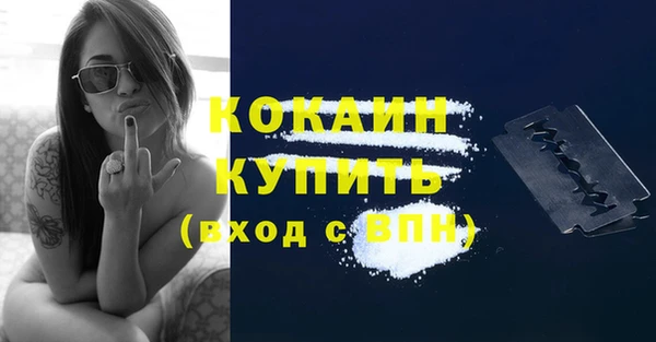 mdpv Няндома