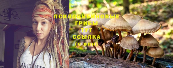 mdpv Няндома
