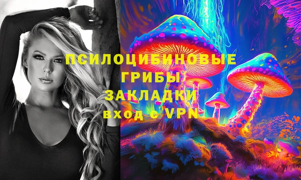 mdpv Няндома